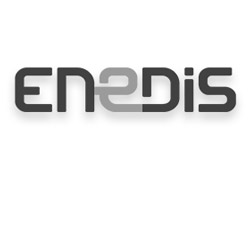 Logo Enedis - Client animation batucada en Ille-et-Vilaine